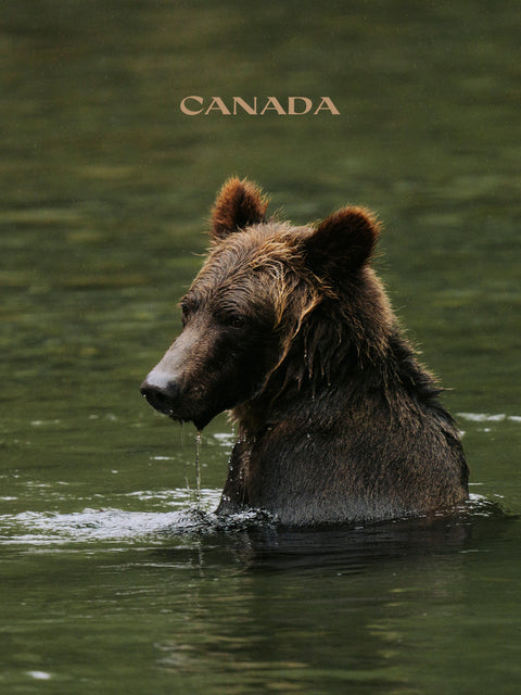 Canada - Magazin